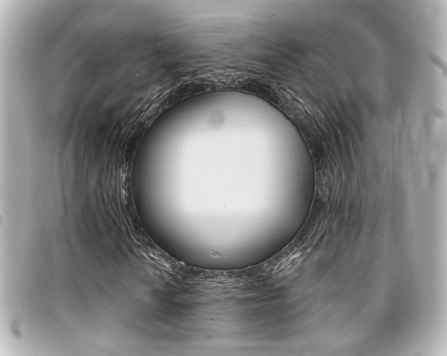 X0000094441010200711081021
