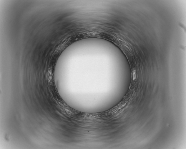 X0000094441011200711081021