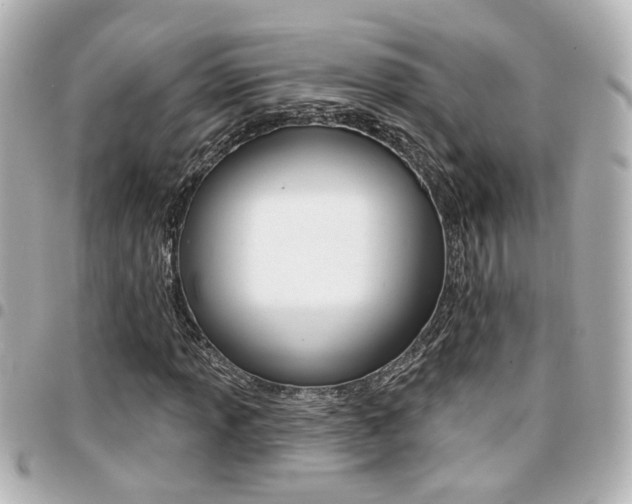 X0000094441013200711081021