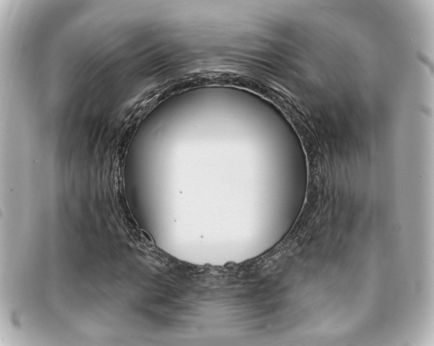 X0000094441014200711081021