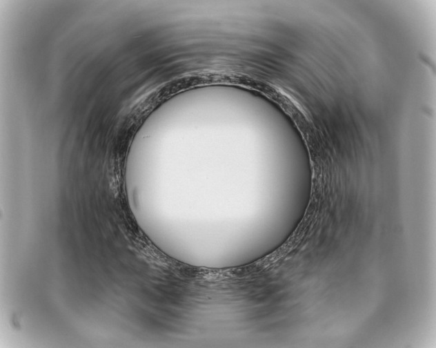 X0000094441015200711081021