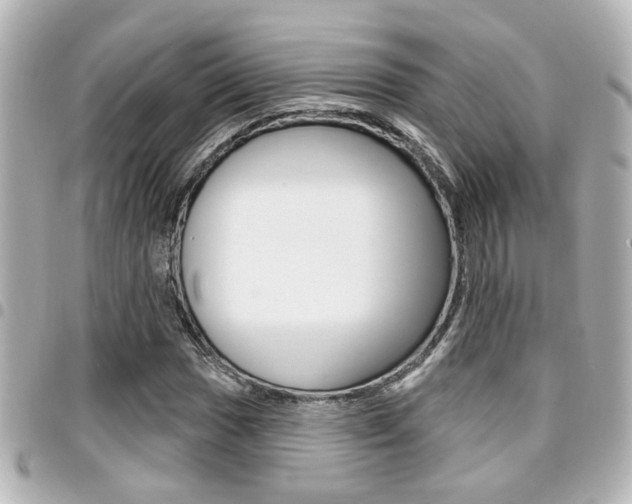 X0000094441017200711081021