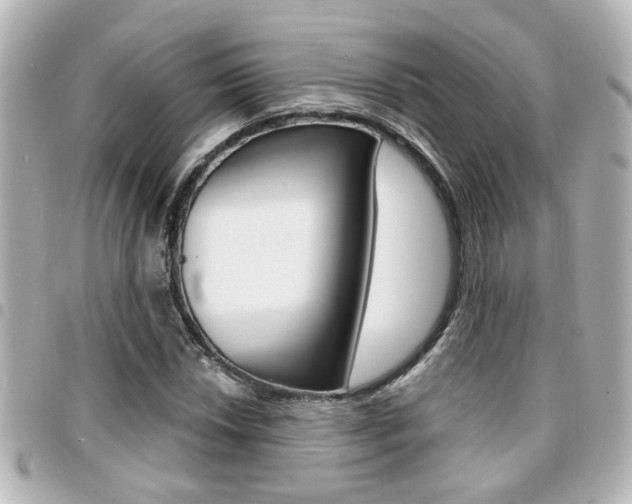 X0000094441018200711081021