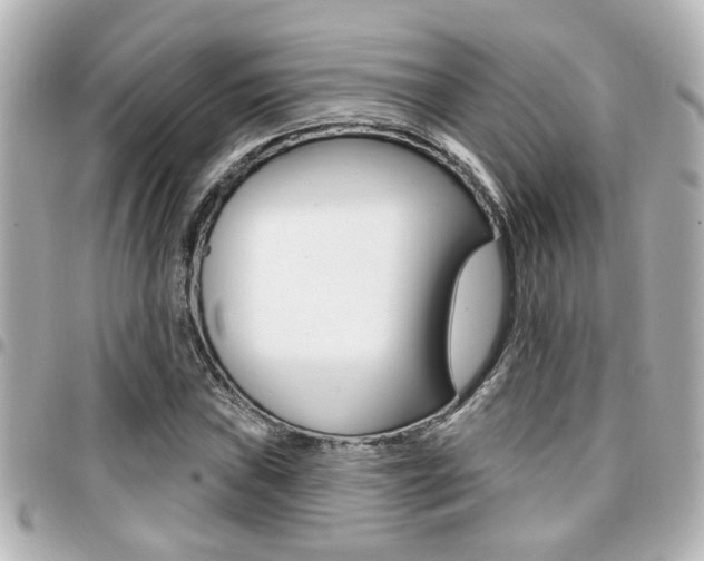 X0000094441019200711081021