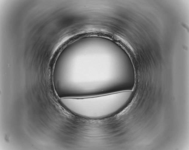 X0000094441021200711081021