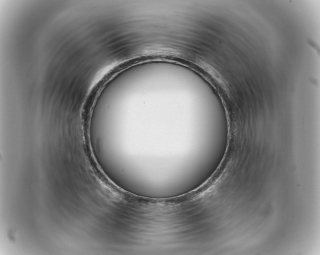 X0000094441022200711081021