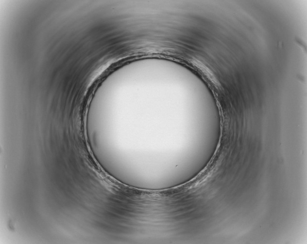 X0000094441023200711081021