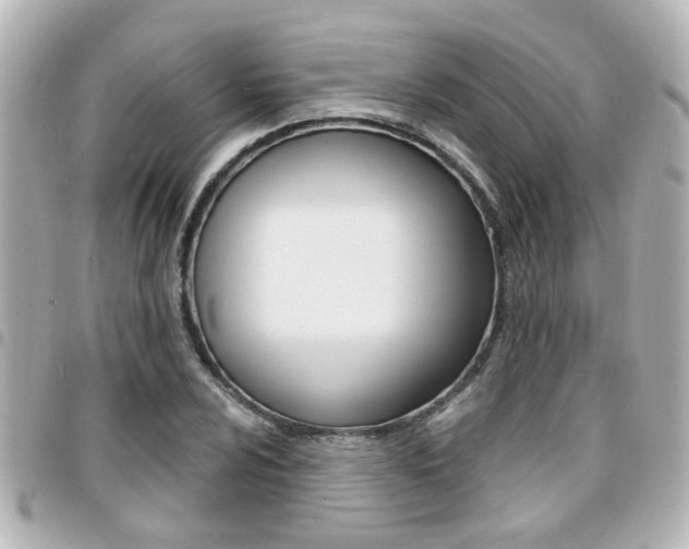 X0000094441024200711081021