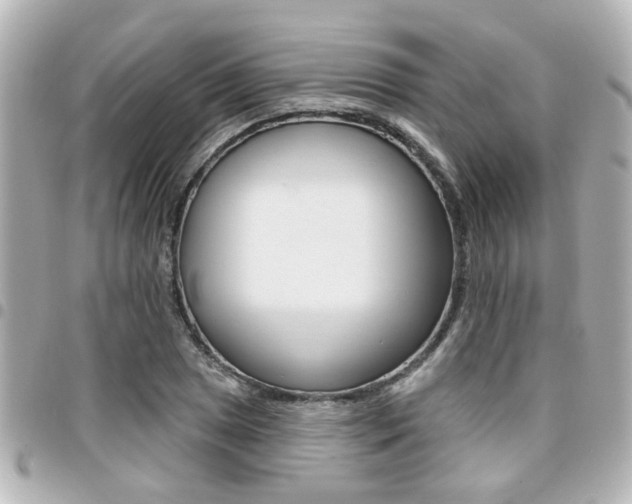 X0000094441025200711081021