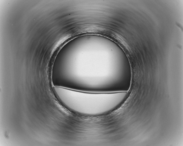 X0000094441026200711081021