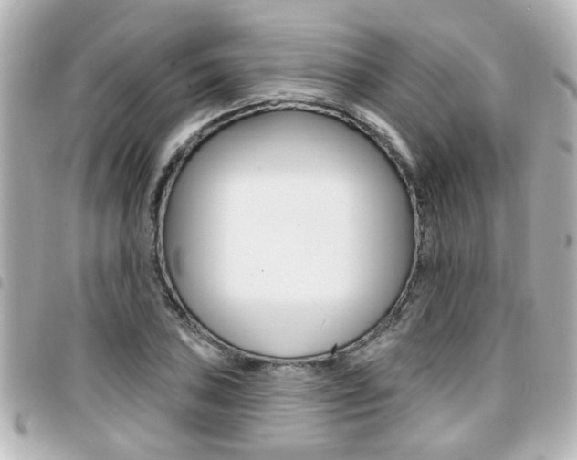 X0000094441027200711081021