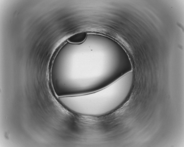 X0000094441028200711081021
