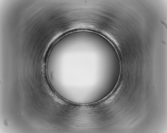 X0000094441029200711081021