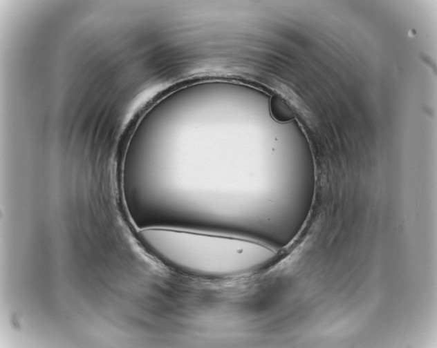 X0000094441030200711081021