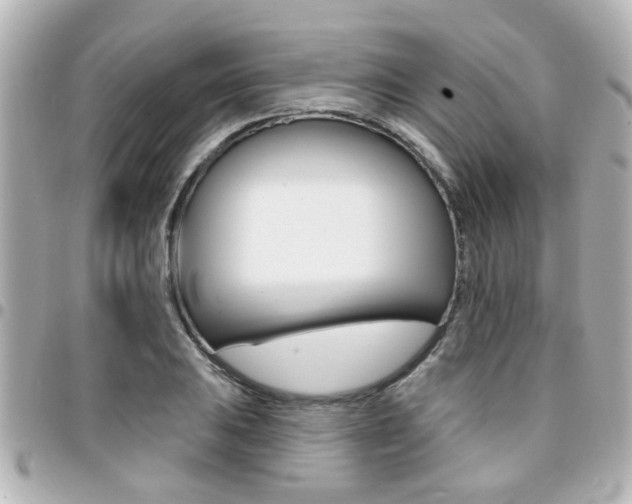 X0000094441031200711081021