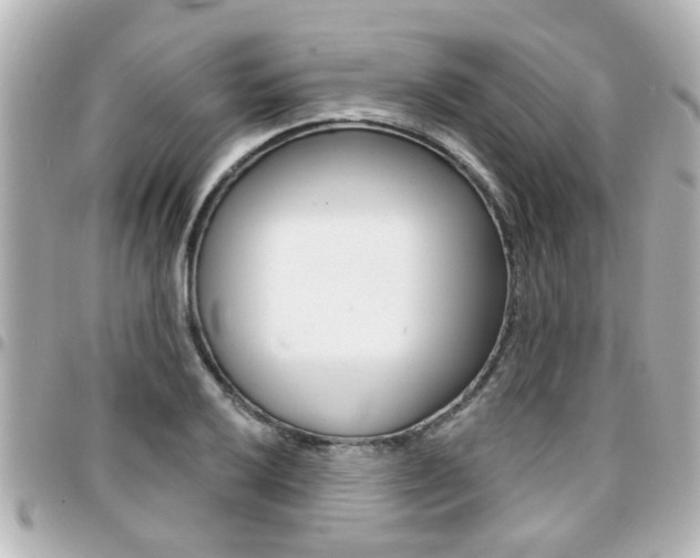 X0000094441032200711081021