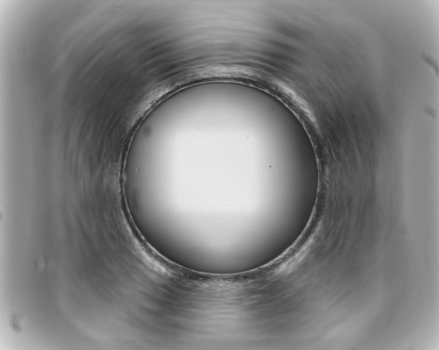 X0000094441033200711081021