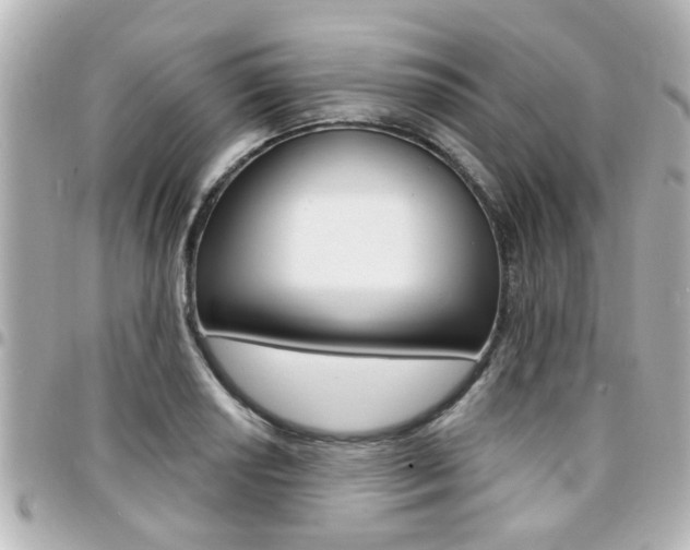 X0000094441034200711081021