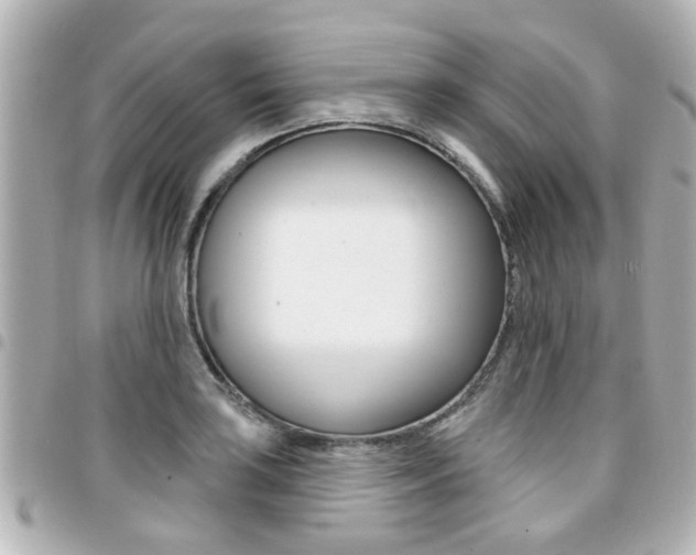 X0000094441035200711081021