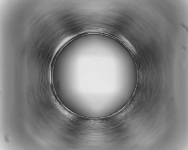 X0000094441036200711081021