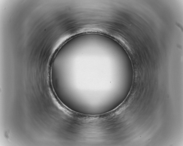 X0000094441038200711081021