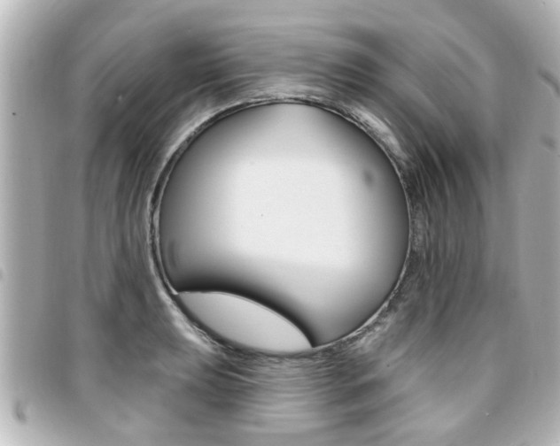 X0000094441039200711081021