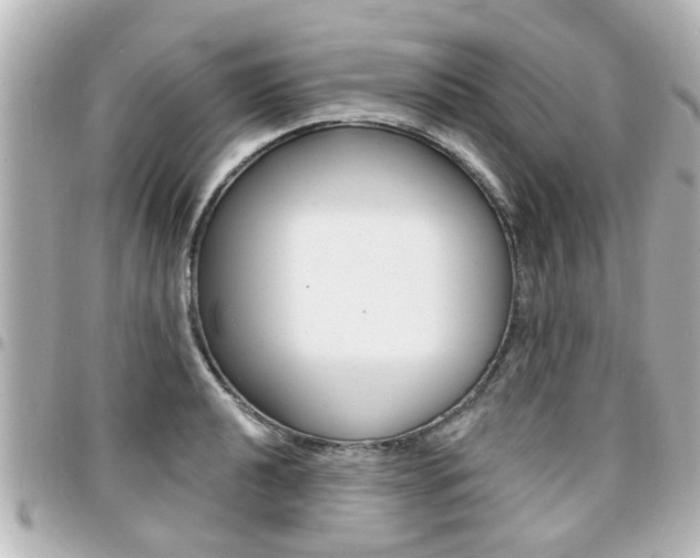 X0000094441040200711081021