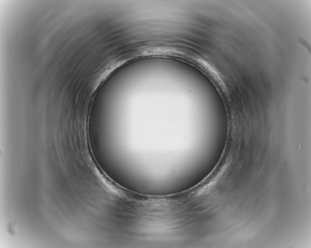 X0000094441041200711081021