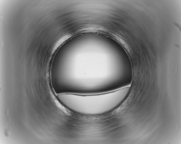 X0000094441042200711081021