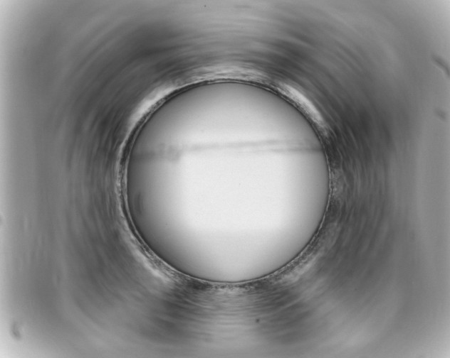 X0000094441043200711081021