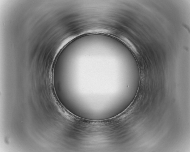 X0000094441044200711081021
