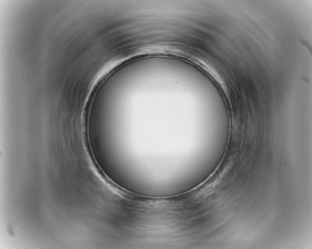 X0000094441045200711081021