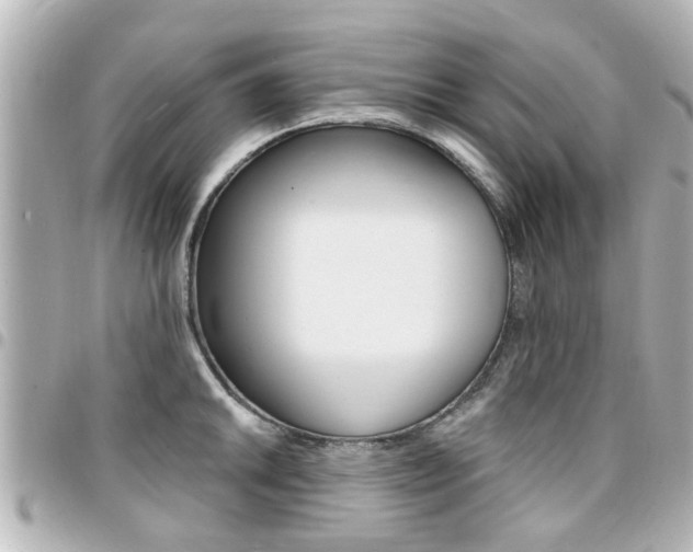 X0000094441046200711081021
