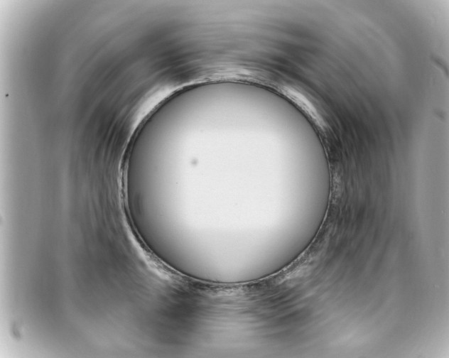 X0000094441047200711081021