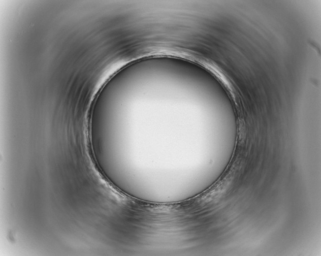 X0000094441048200711081021