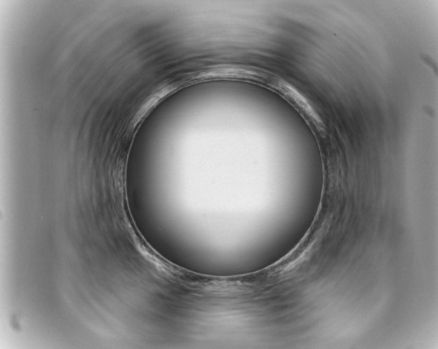 X0000094441049200711081021