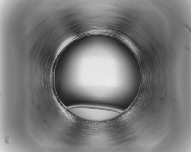 X0000094441050200711081021