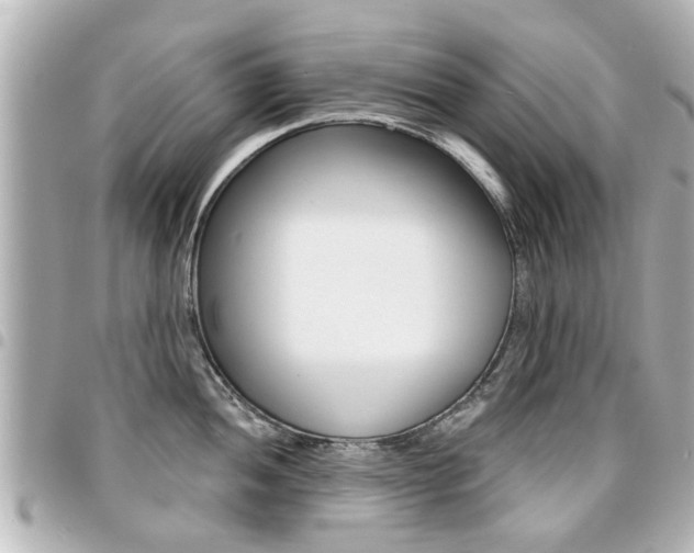X0000094441052200711081021