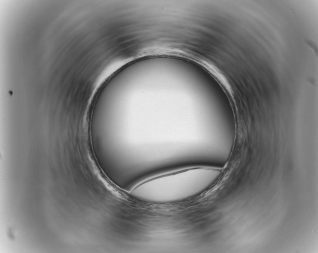 X0000094441053200711081021