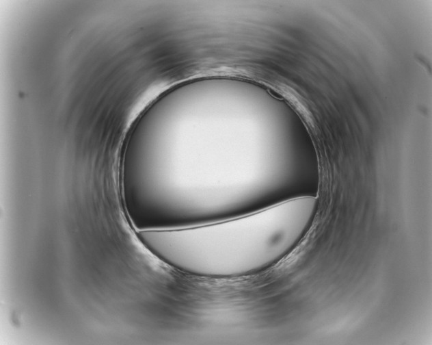 X0000094441054200711081021