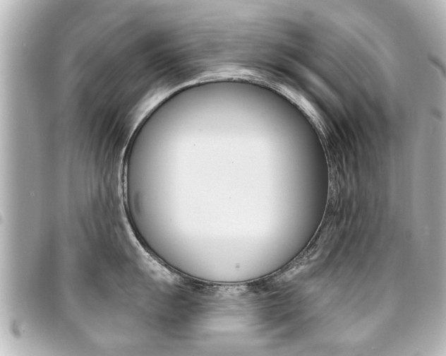 X0000094441055200711081021