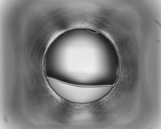 X0000094441056200711081021