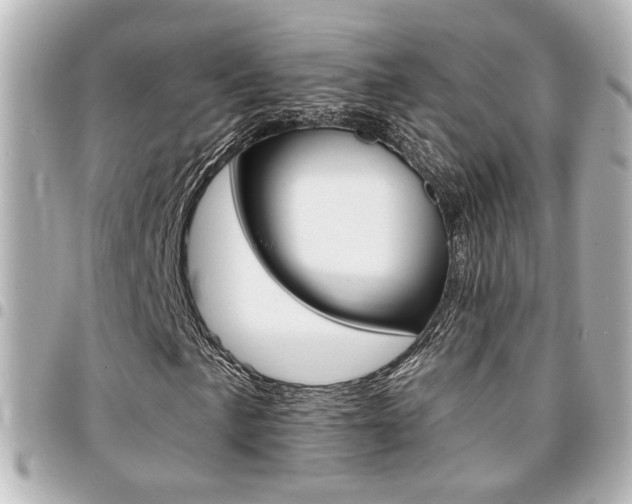 X0000094441057200711081021