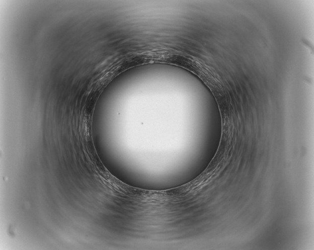 X0000094441058200711081021