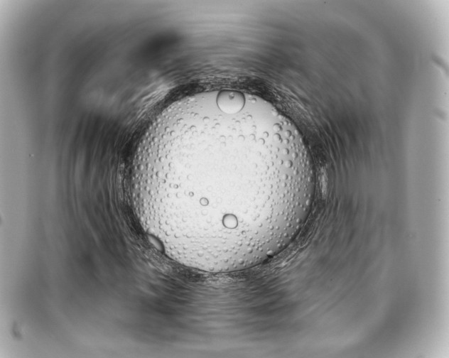 X0000094441059200711081020