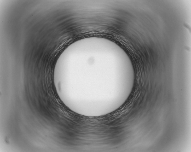 X0000094441060200711081020