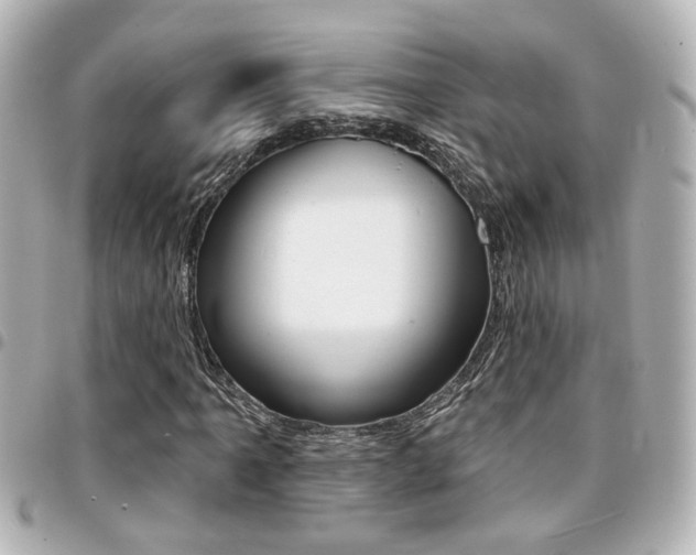 X0000094441061200711081020