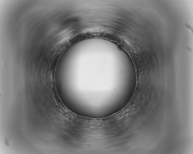 X0000094441062200711081020