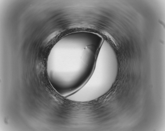 X0000094441064200711081020