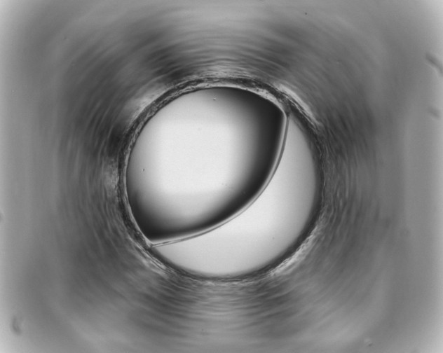 X0000094441065200711081020